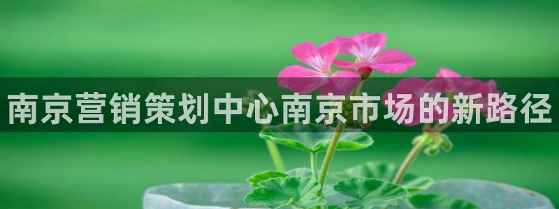 必赢官网app下载