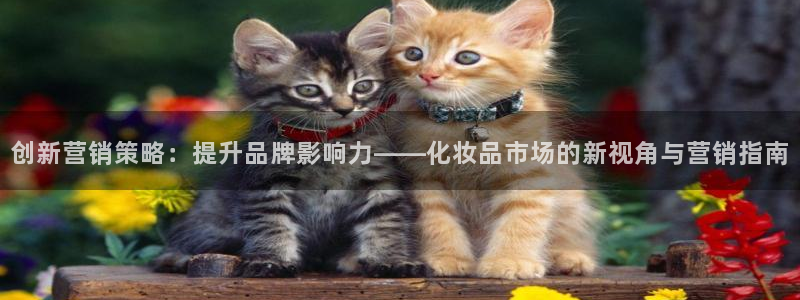 必赢516net怎么进