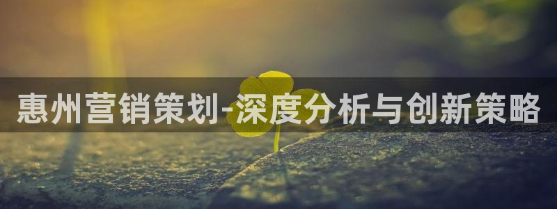 必赢国际的网站多少