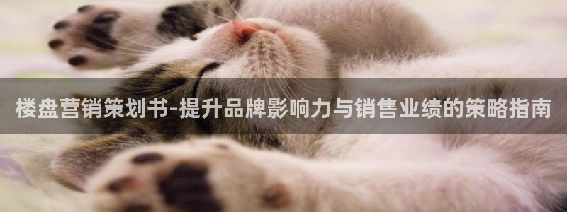 必赢437官网