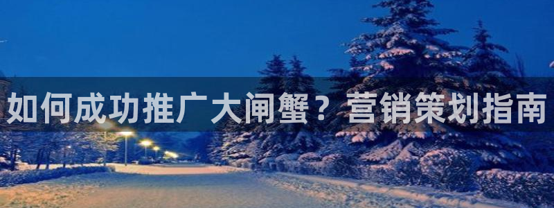必赢科技北京有限公司