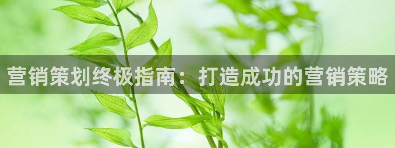 7321必赢安全吗