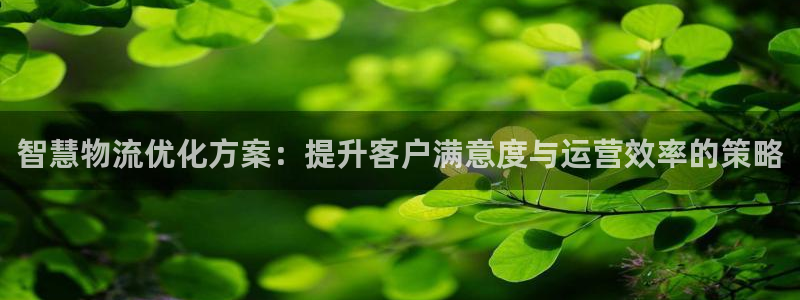 必赢下载安卓版