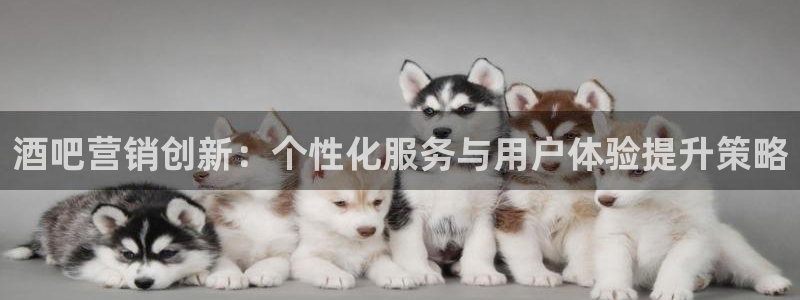 必赢线上网址是什么
