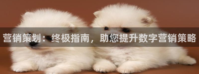 必赢集团winex