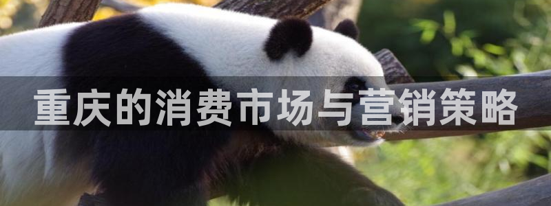 必赢官网app下载安装最新版本