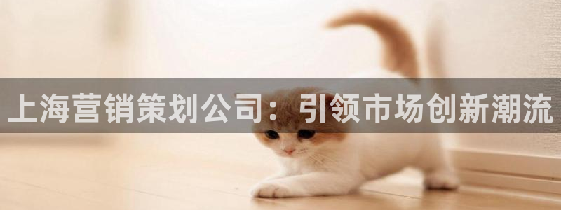 必赢亚赢网站官网下载安卓版