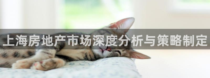 必赢官网入口下载安装苹果
