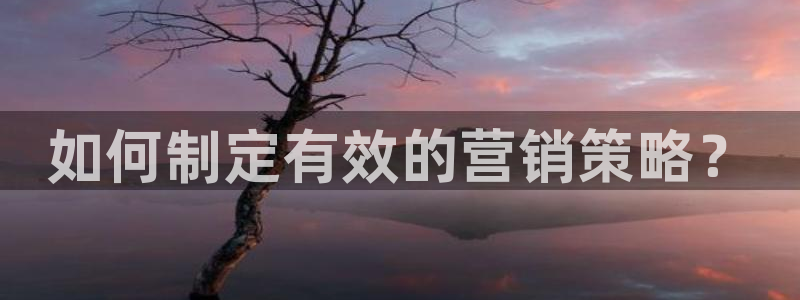 必赢网怎么打不开了呀