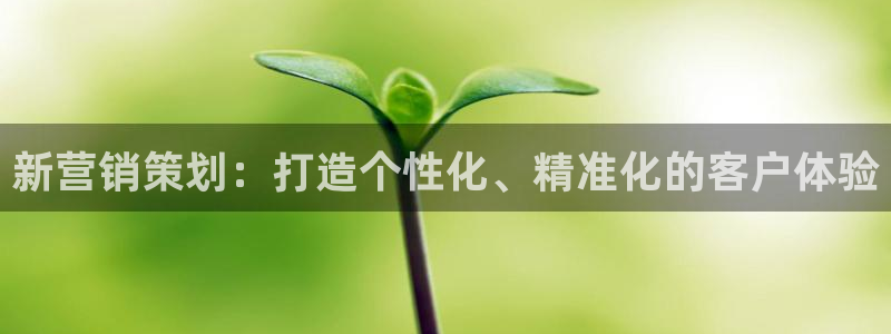 必赢旧网站