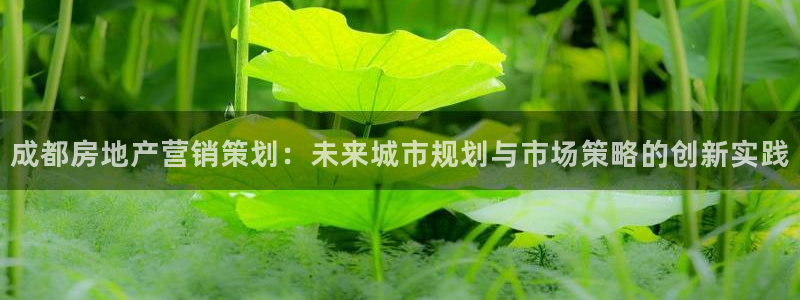 必赢.apk