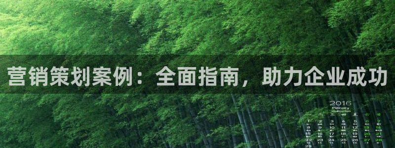 必赢官网app下载苹果手机