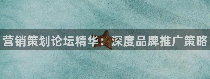 必赢手机app下载抢红包