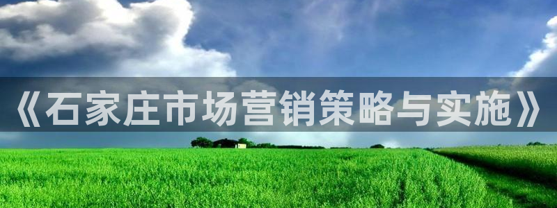 必赢公司