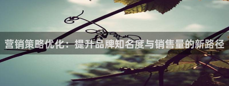 必赢官网app下载安装手机版