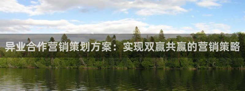 必赢集团网站是什么