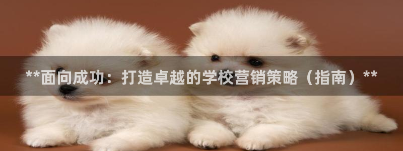 必赢客官方