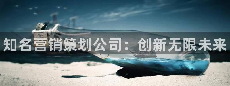 必赢公司是怎样的一家企业