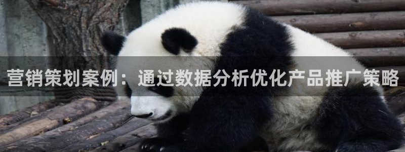 必赢图片