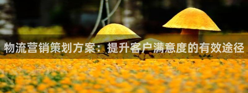 必赢亚赢网站官网下载