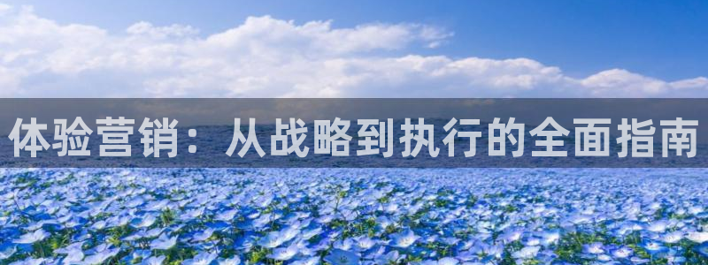 必赢官网