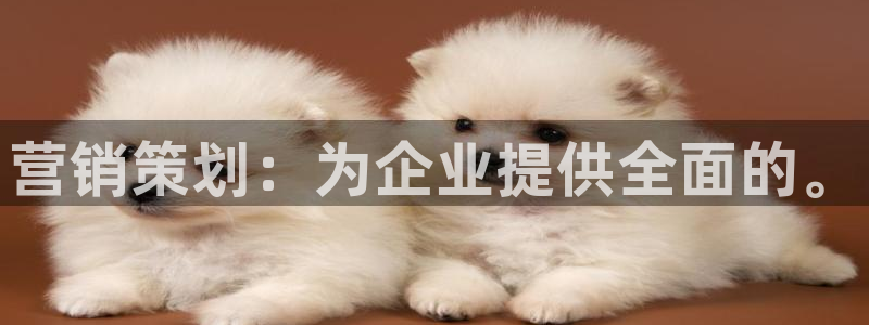 必赢72886网址多少啊