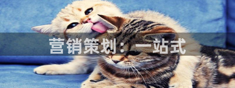 必赢国际儋州社区