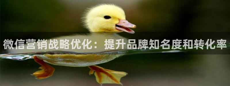 必赢必赢