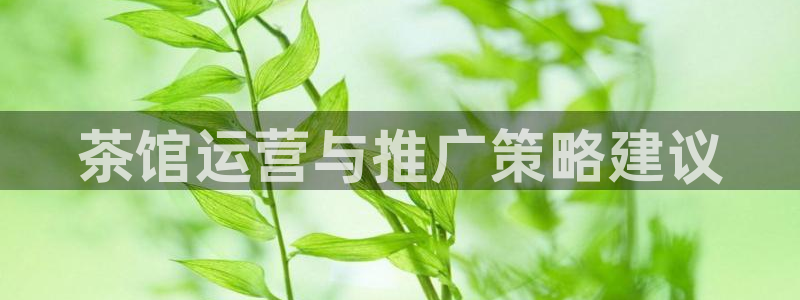 必赢网怎么打不开了