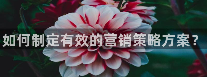 必赢这个平台怎么样知乎