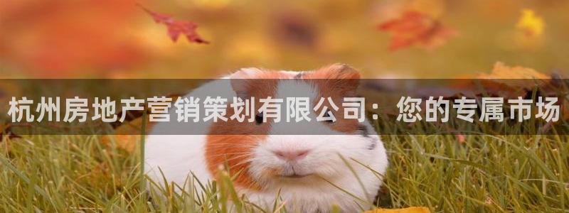 必赢最新网页