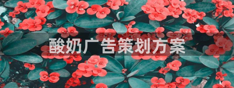 必赢官网网站入口下载