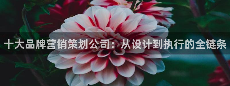 必赢官网入口下载