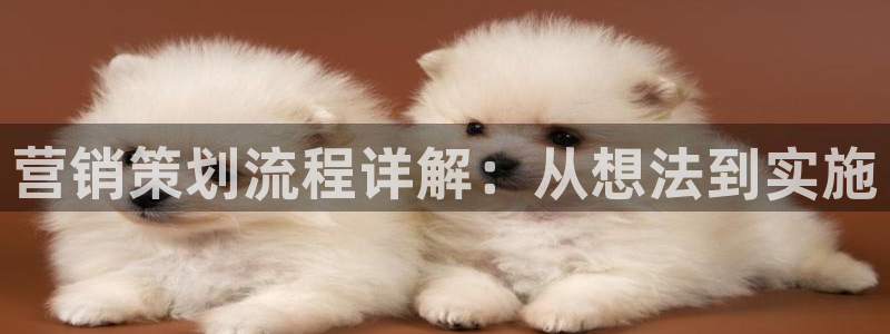 必赢旧网站