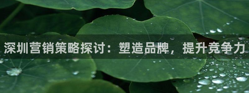 必赢app官方