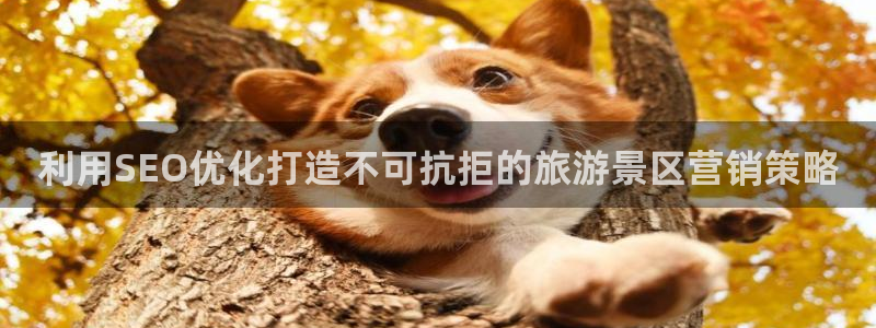 必赢客安卓版
