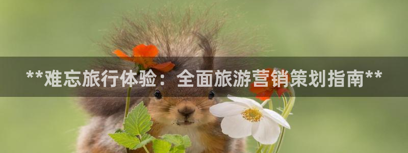 必赢国际官网登录