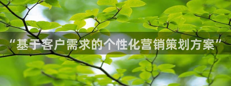 必赢网站进去