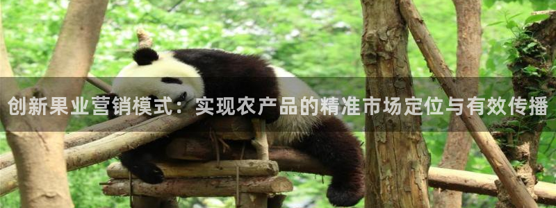必赢线上网址是多少