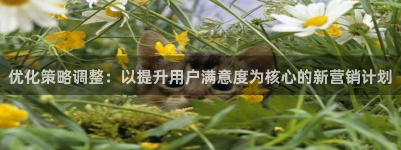 必赢网站是哪一个平台