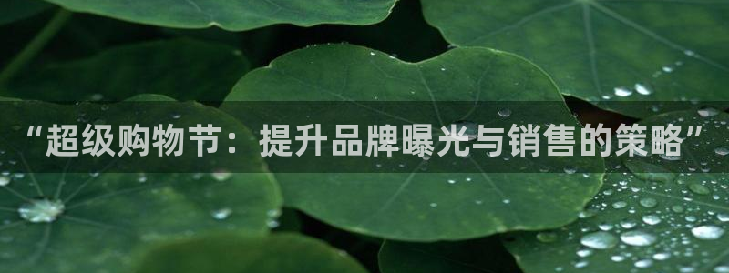 必赢网址谁知道的