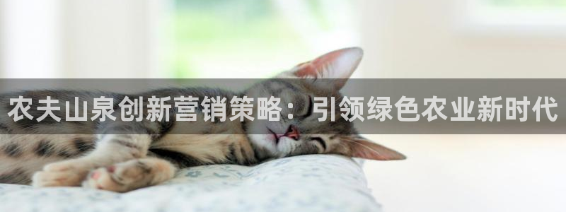 必赢平台电子