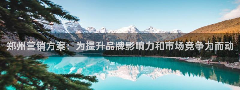 必赢3003am