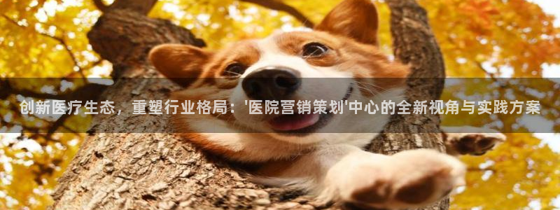 必赢官网下载安装手机版
