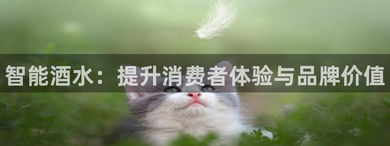 必赢平台官方网址