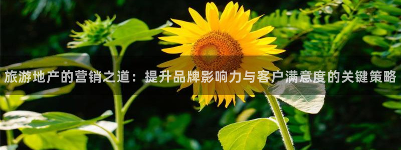 必赢官网下载安装
