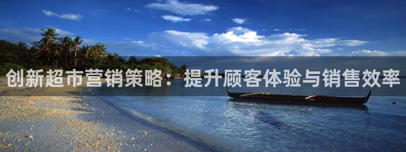 必赢公司是怎样的一家企业