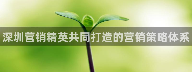 必赢这个软件怎么样知乎