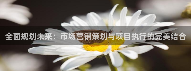 必赢平台官方电话：全面规划未来