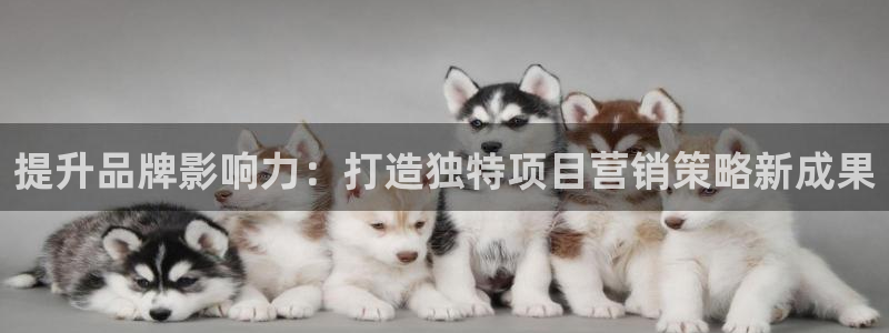 必赢棋盘官网版：提升品牌影响力